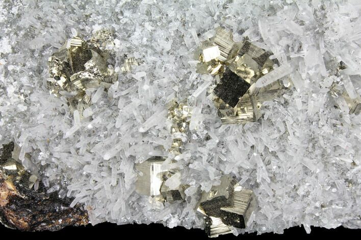 Gleaming Cubic Pyrite Cluster with Quartz - Peru #98058